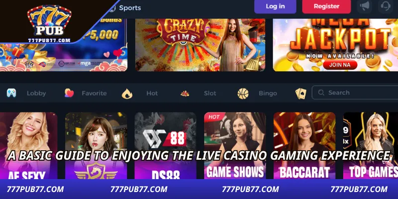 A basic guide to enjoying the live casino gaming experience