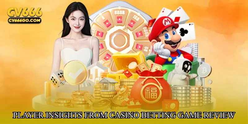 Player insights from Casino betting game review experience